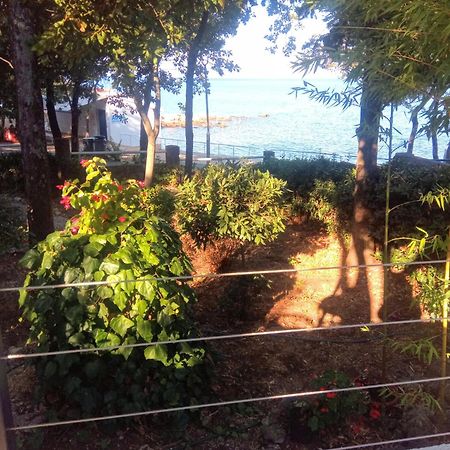 Apartmani "Ostro" Crikvenica คราลเยวีจา ภายนอก รูปภาพ