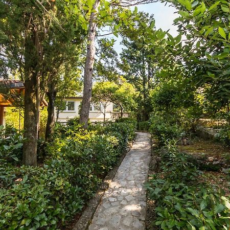 Apartmani "Ostro" Crikvenica คราลเยวีจา ภายนอก รูปภาพ